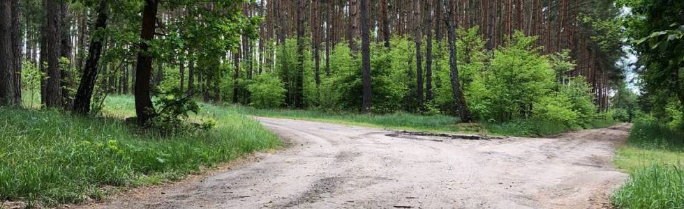 Środa Wielkopolska Dębno nad Wartą Solec Środa