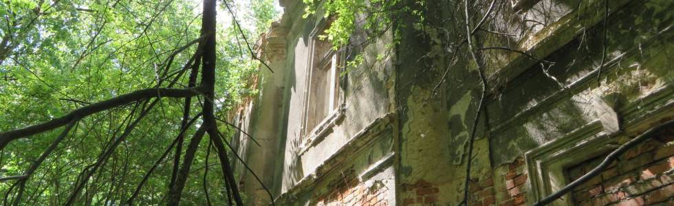 Pniów - Ruiny pałacu i folwarku.