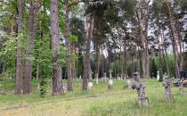 Stary cmentarz w Gorajcu