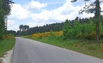 droga pomiędzy Sobkowem a Korytnicą