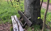 ławeczka przy drzewie i karmnik
