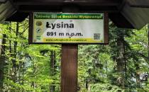 Łysina ( 891 mnpm ).