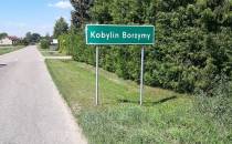 Kobylin Borzyny