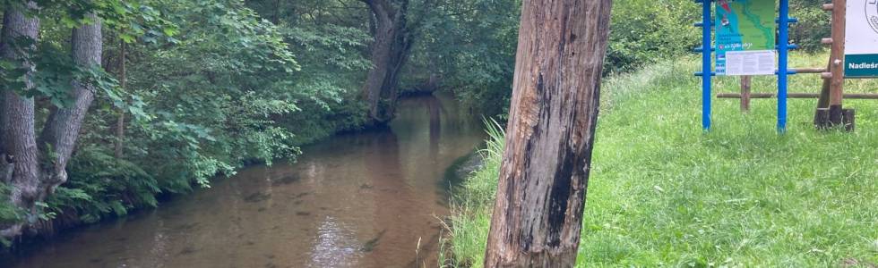 Węgorzewo - Kościernica - Jezioro Rakowe - Strzekęcino - Niekłonice