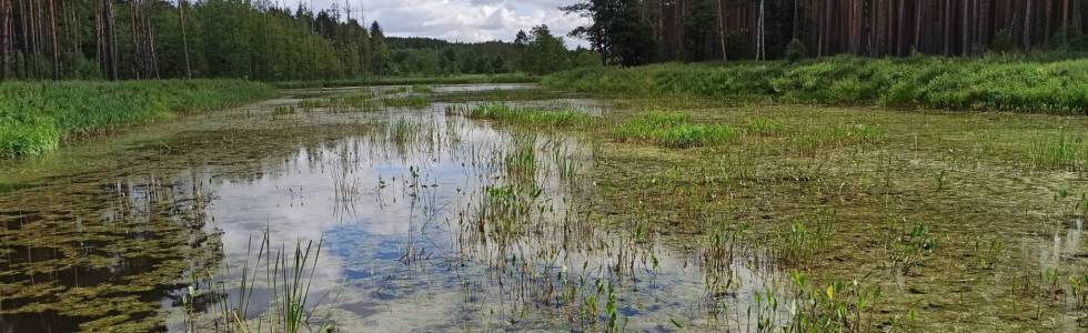 Wycieczka 2022-07-27 - Wycieczka Jastrowie - Grudna - Kamień - Jastrowie