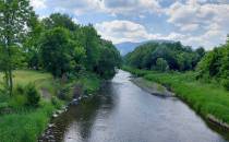 Rzeka Ostravica