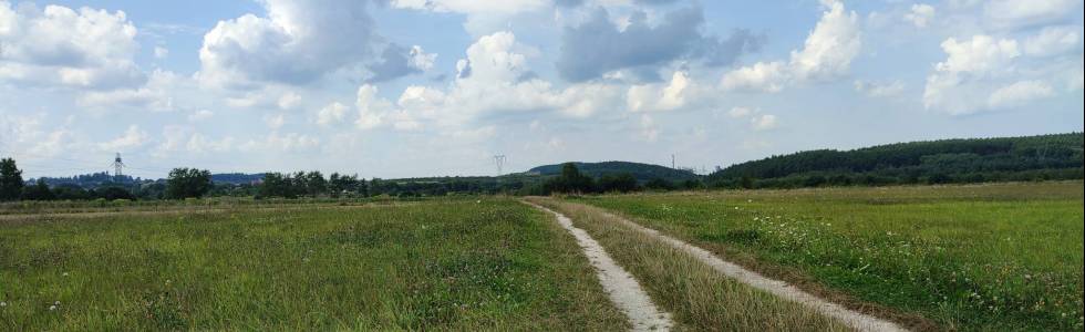 Grząby Bolmińskie (330 m n.p.m.)