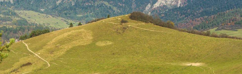 Szczawnica-Lechnica