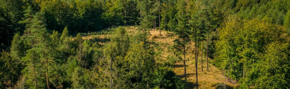 Wieżyca - Gołubie przez Szymbark i Pierszczewo