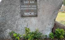 Wicie